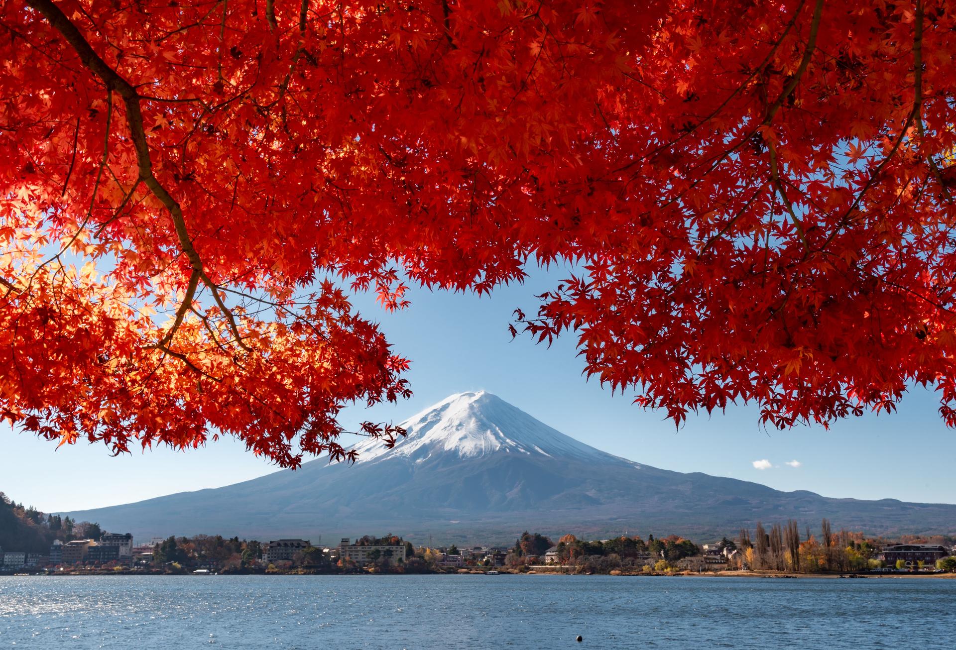 Mount Fuji, the iconic symbol of Japan, during the season of autumn foliage, a period of exceptional beauty.kawaguchiko,japan.